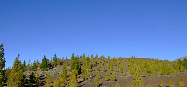 Pico del Teide 11