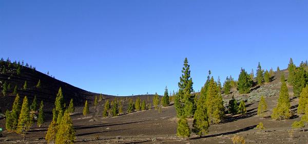 Pico del Teide 13