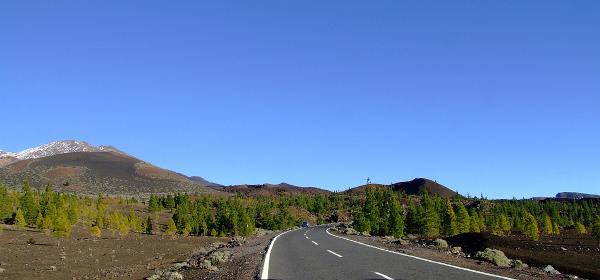Pico del Teide 16