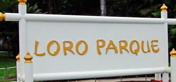 Loro Parque 001