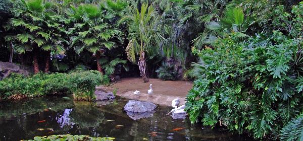 Loro Parque 004