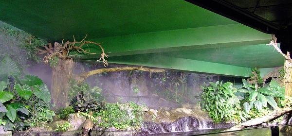 Loro Parque 021