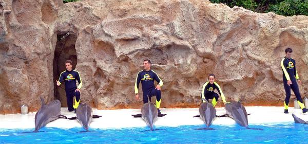 Loro Parque 042