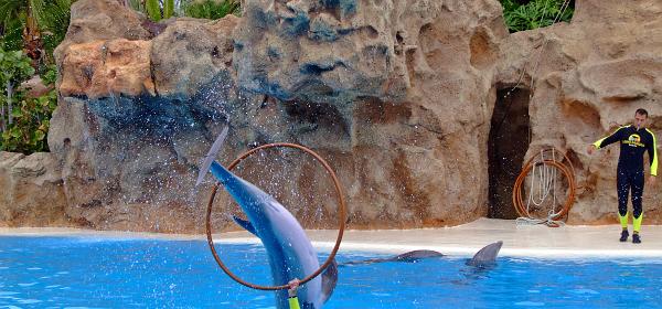 Loro Parque 046