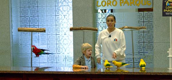 Loro Parque 058