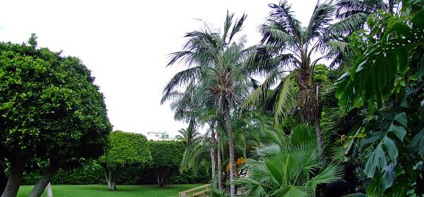 Loro Parque 062