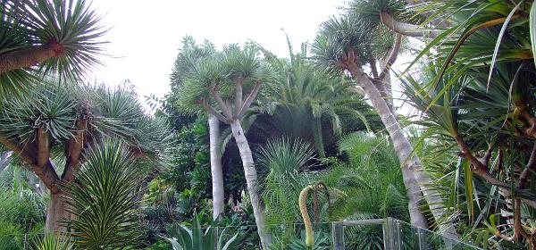 Loro Parque 072