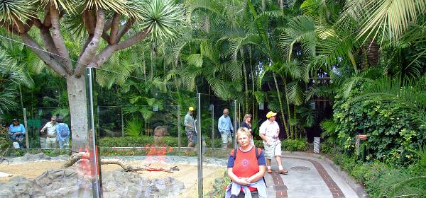 Loro Parque 073