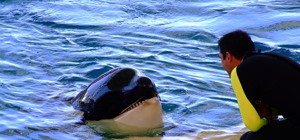 Loro Parque 093