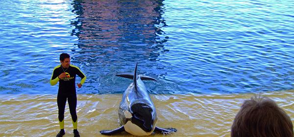 Loro Parque 095