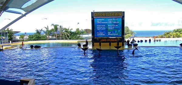 Loro Parque 100