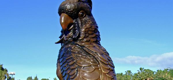 Loro Parque 114