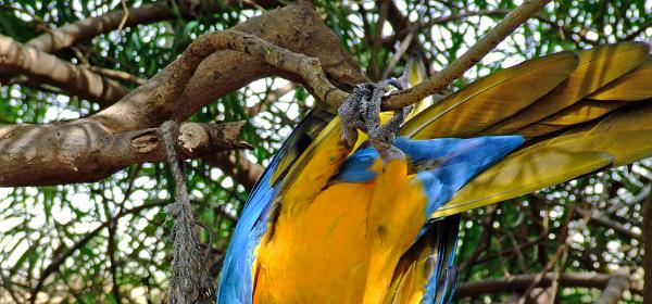 Cactus und Animal Park 14