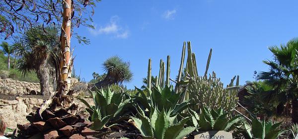 Cactus und Animal Park 31