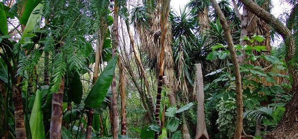 Teneriffa Jungle Park 003