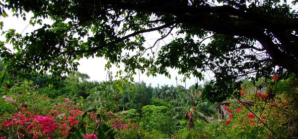Teneriffa Jungle Park 016
