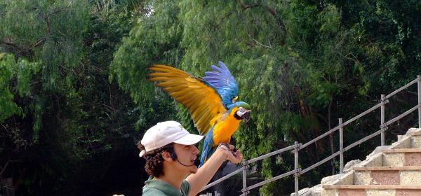 Teneriffa Jungle Park 029