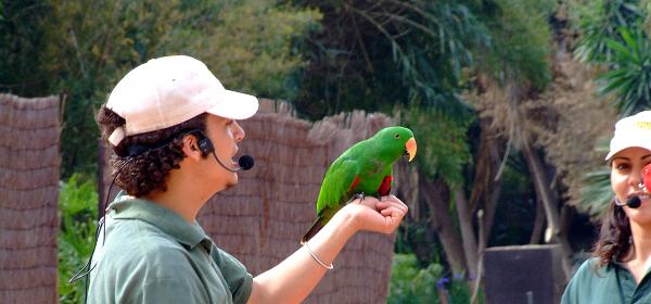 Teneriffa Jungle Park 032