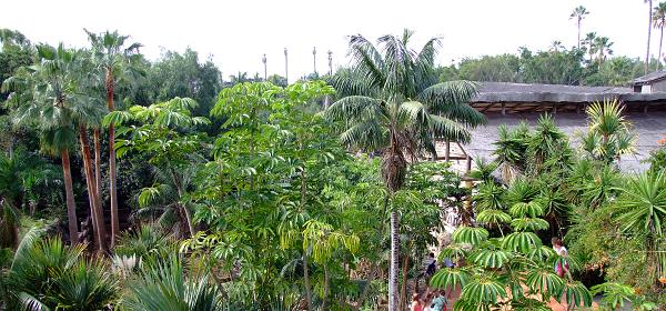 Teneriffa Jungle Park 038