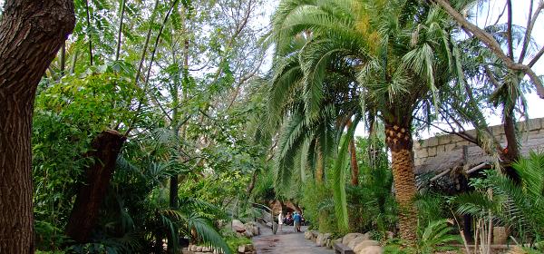 Teneriffa Jungle Park 053