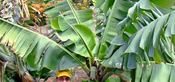 Teneriffa Jungle Park 054
