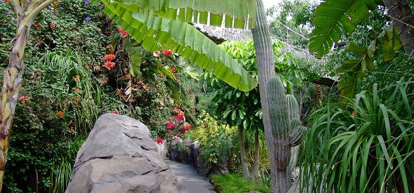 Teneriffa Jungle Park 067