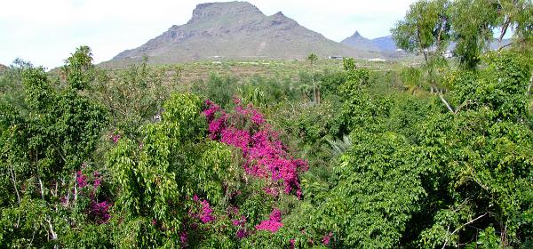 Teneriffa Jungle Park 090