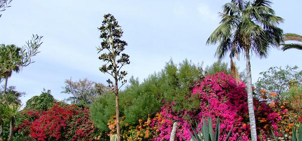 Teneriffa Jungle Park 099