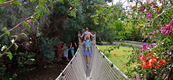 Teneriffa Jungle Park 100