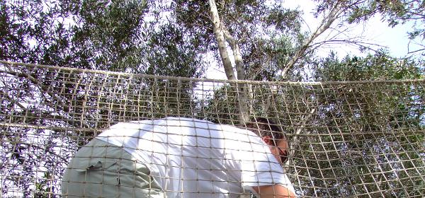 Teneriffa Jungle Park 103