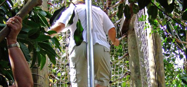 Teneriffa Jungle Park 104