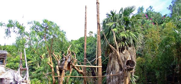 Teneriffa Jungle Park 106