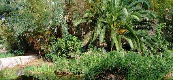 Teneriffa Jungle Park 107
