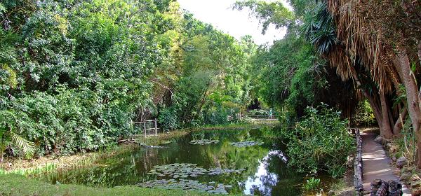 Teneriffa Jungle Park 108