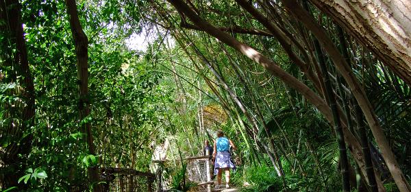 Teneriffa Jungle Park 109