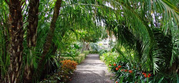 Jardin Botanico Puerto de la Cruz 011