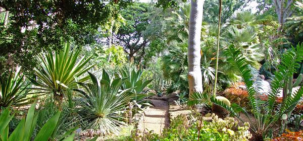 Jardin Botanico Puerto de la Cruz 050