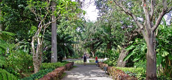 Jardin Botanico Puerto de la Cruz 056