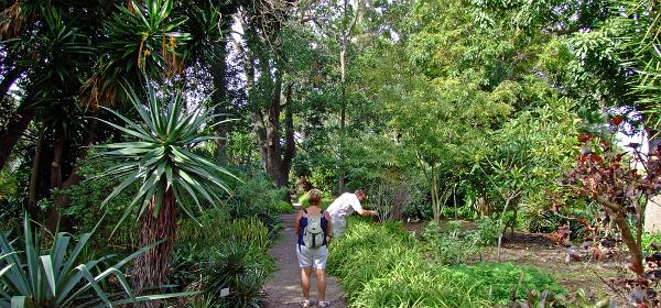 Jardin Botanico Puerto de la Cruz 082