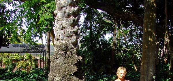 Jardin Botanico Puerto de la Cruz 084