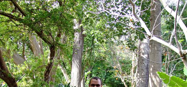 Jardin Botanico Puerto de la Cruz 086