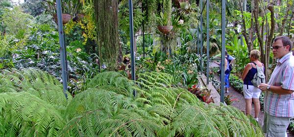 Jardin Botanico Puerto de la Cruz 090