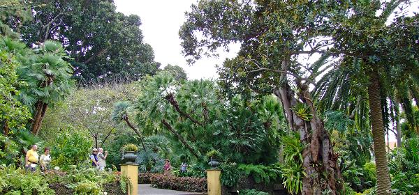 Jardin Botanico Puerto de la Cruz 095