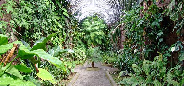 Jardin Botanico Puerto de la Cruz 101