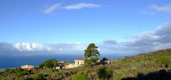 Finca Majagora Teneriffa 01