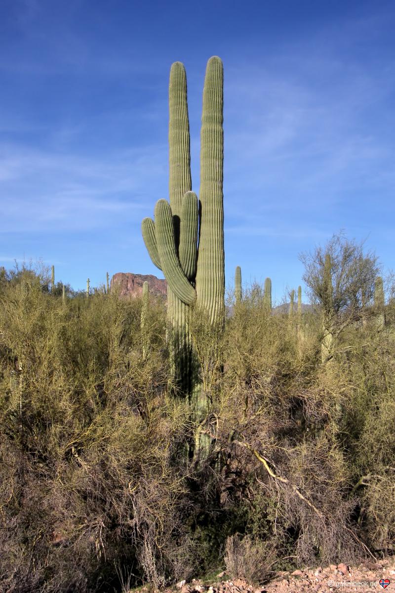 Hewitt Canyon