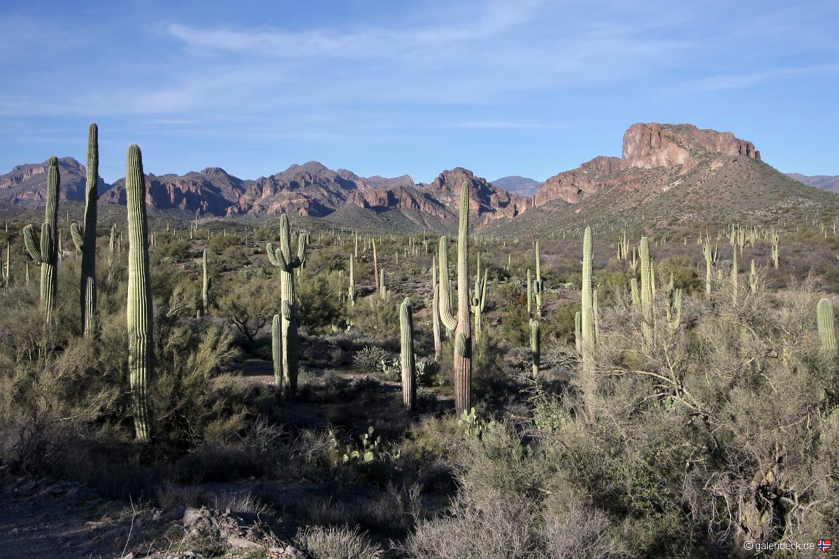 Hewitt Canyon