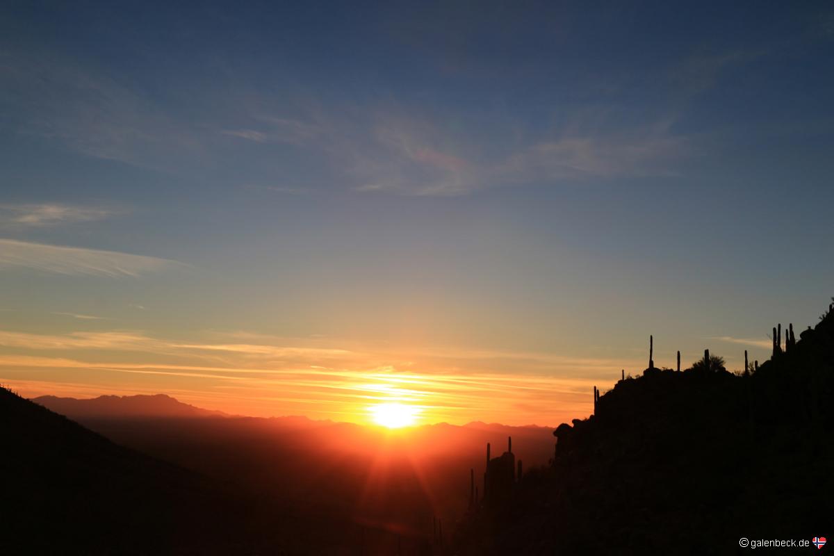 Saguaro National Park Sunset