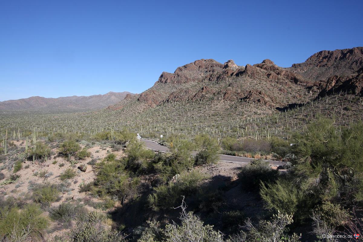 Saguaro National Park Golden Gate Road