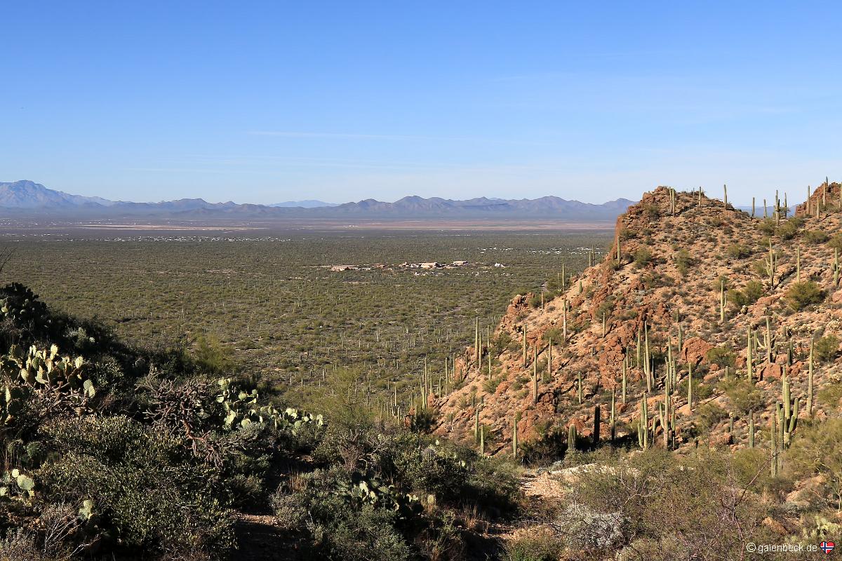 Saguaro National Park Golden Gate Road